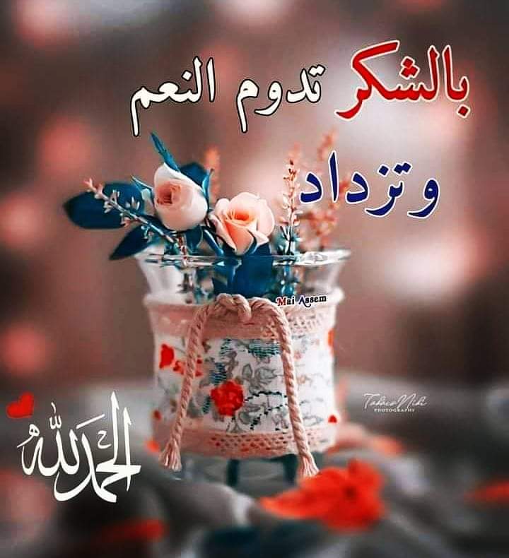 مختارات
