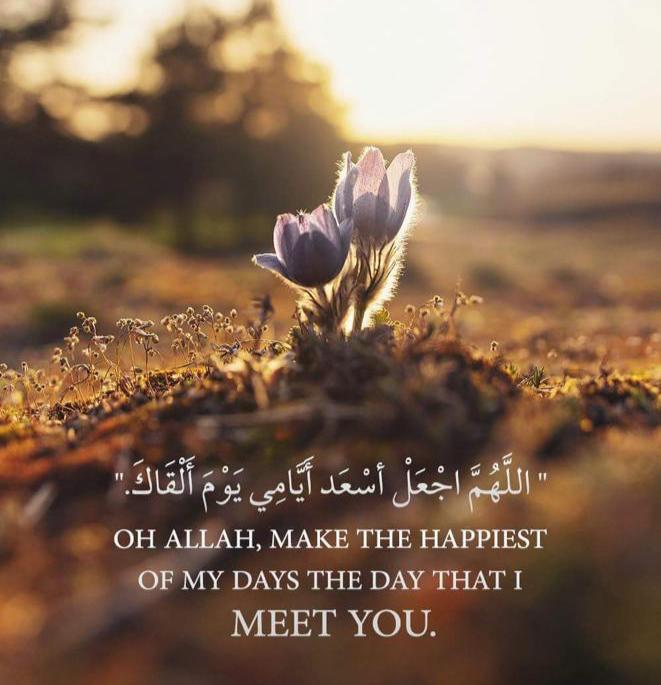 مختارات