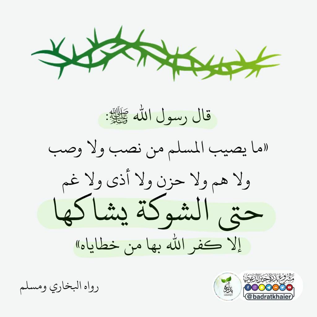 مختارات
