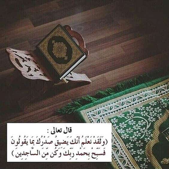 مختارات