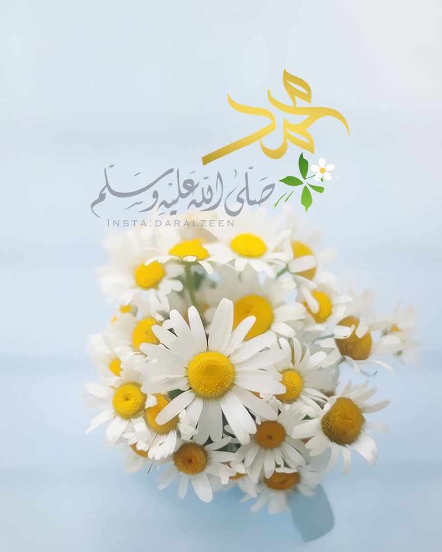 مختارات