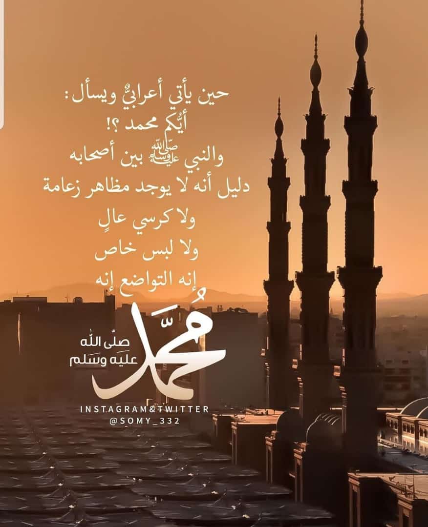 مختارات