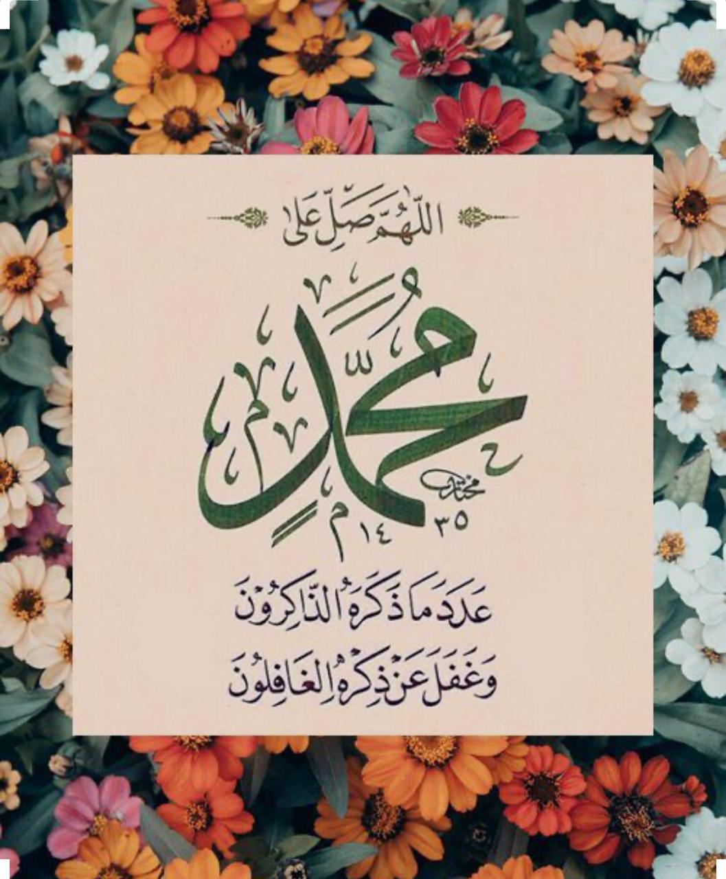 مختارات