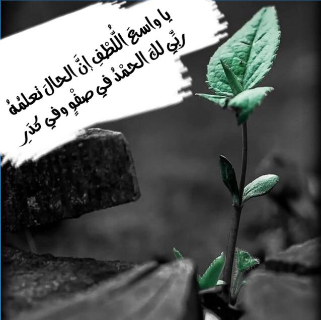 مختارات