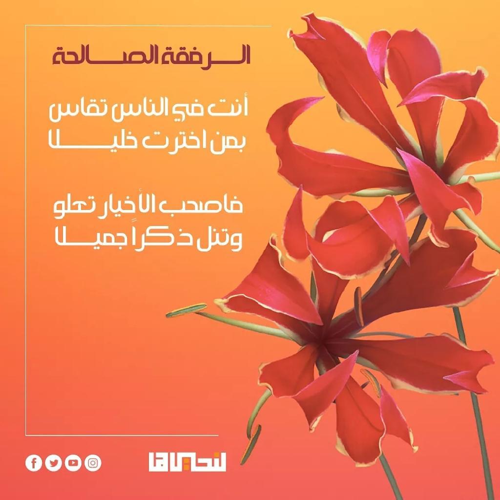 مختارات