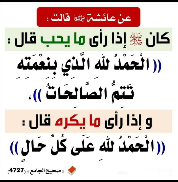 مختارات