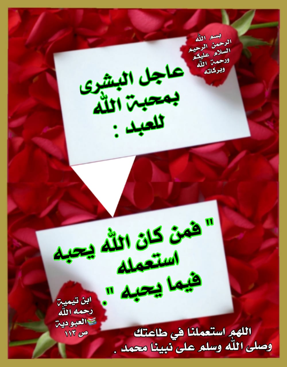 مختارات