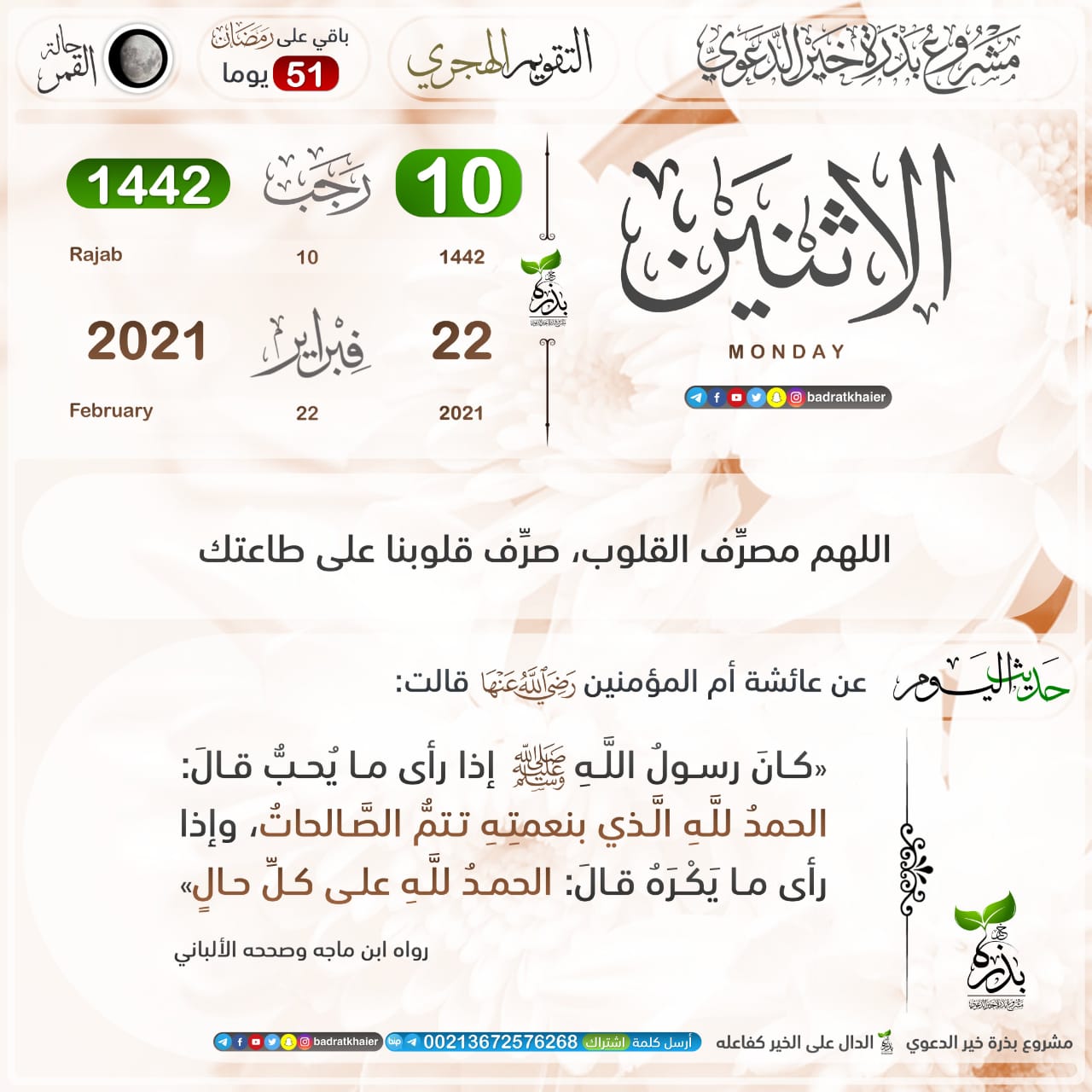 مختارات