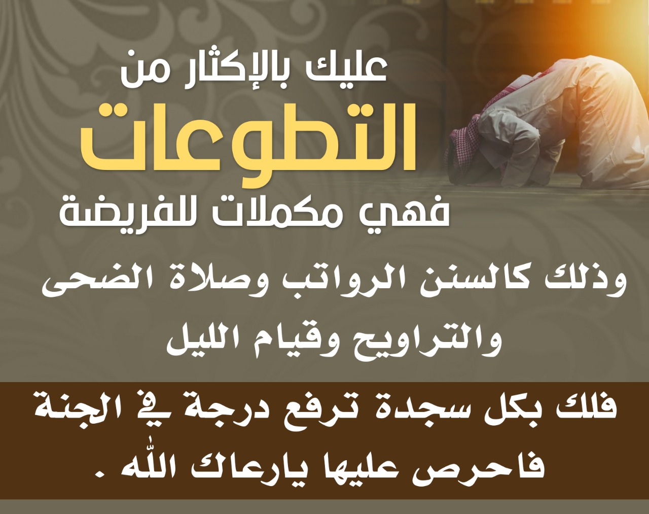 مختارات