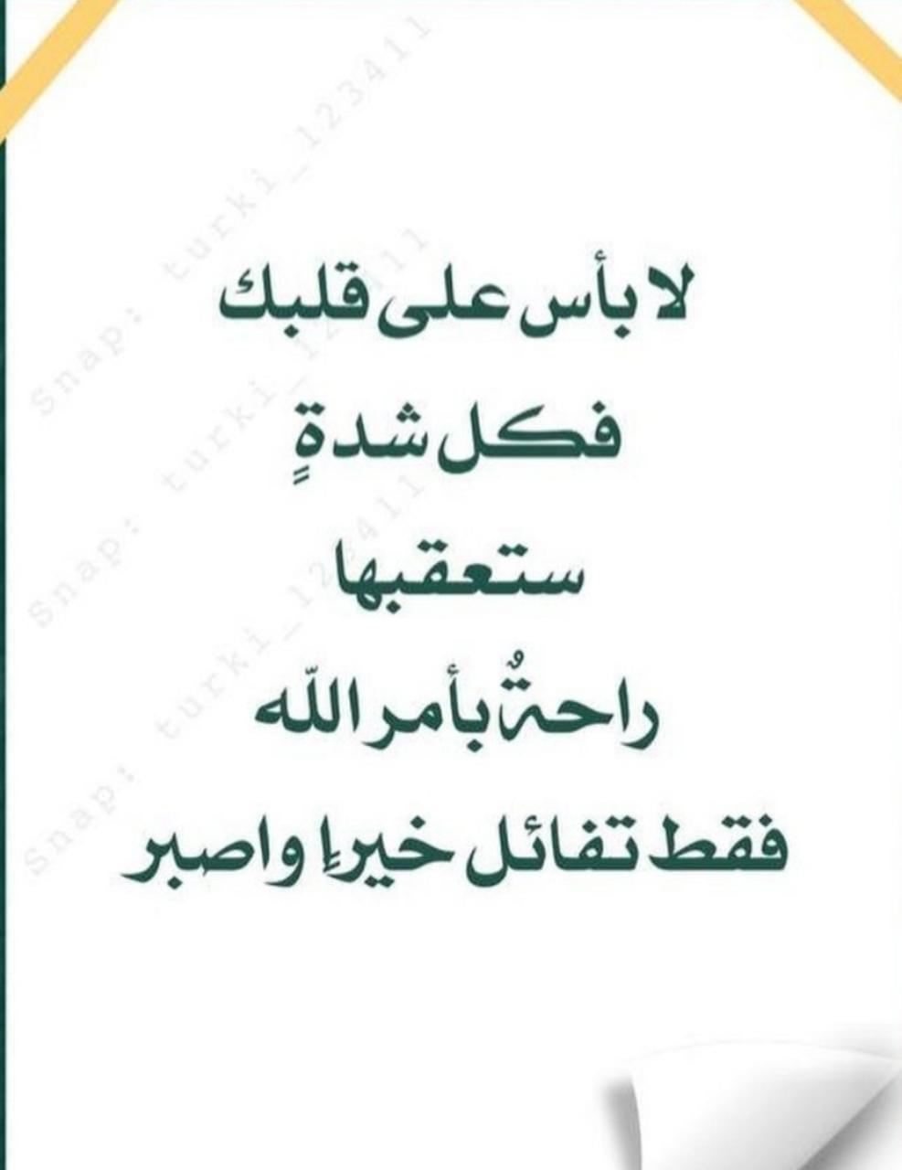 مختارات