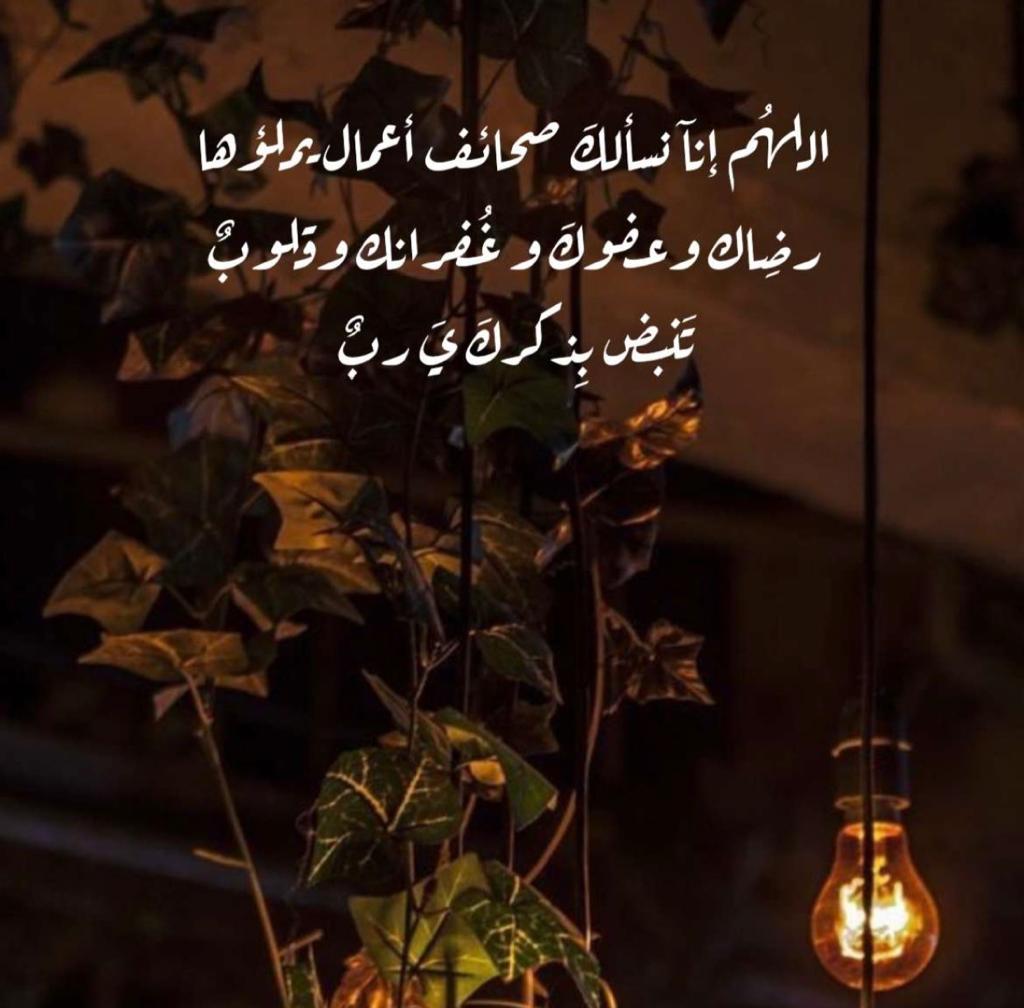 مختارات