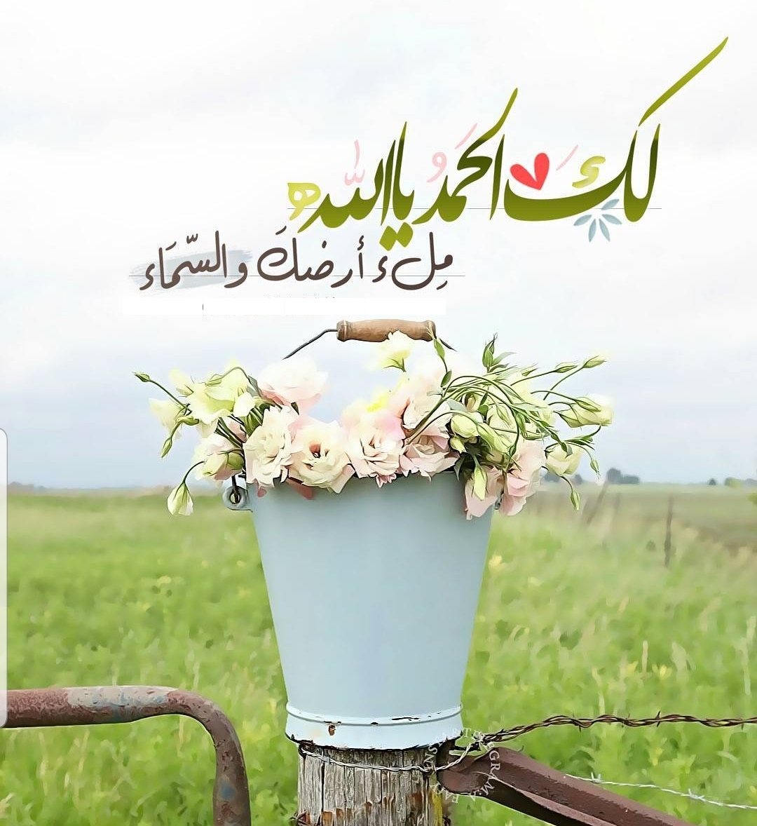 مختارات