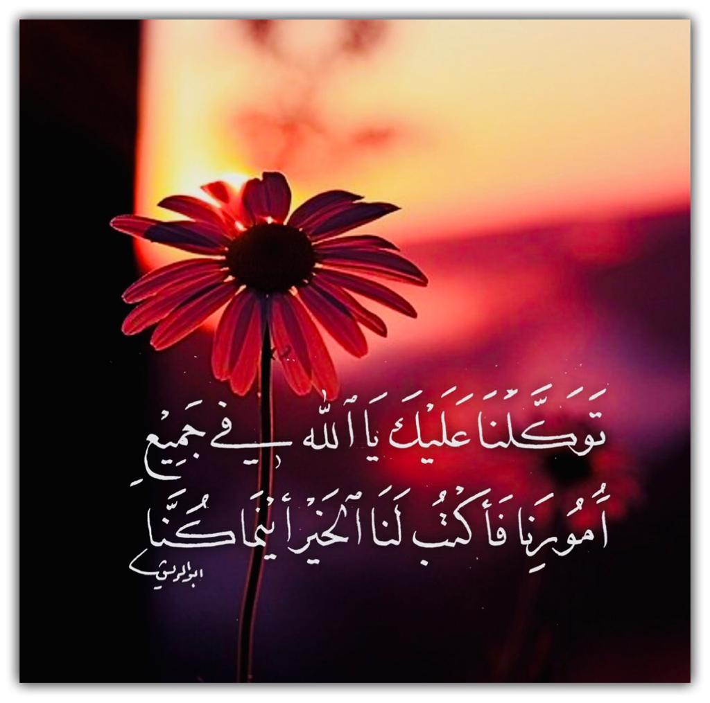 مختارات