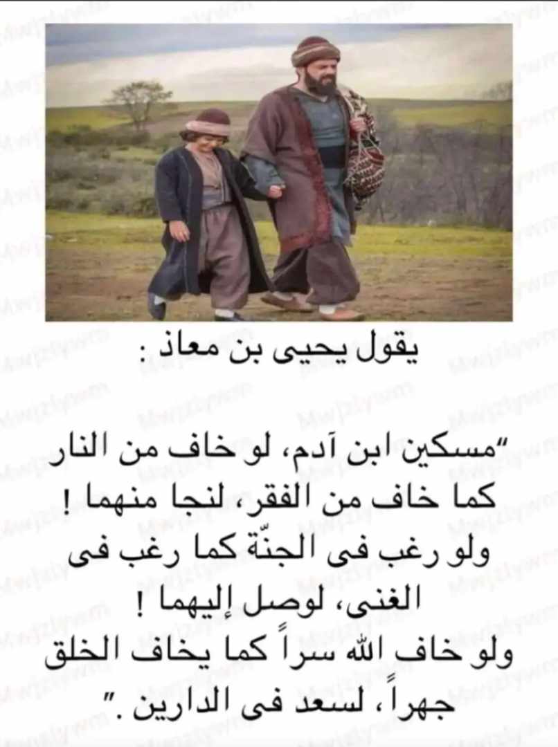 مختارات