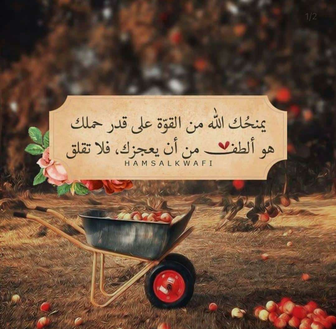 مختارات