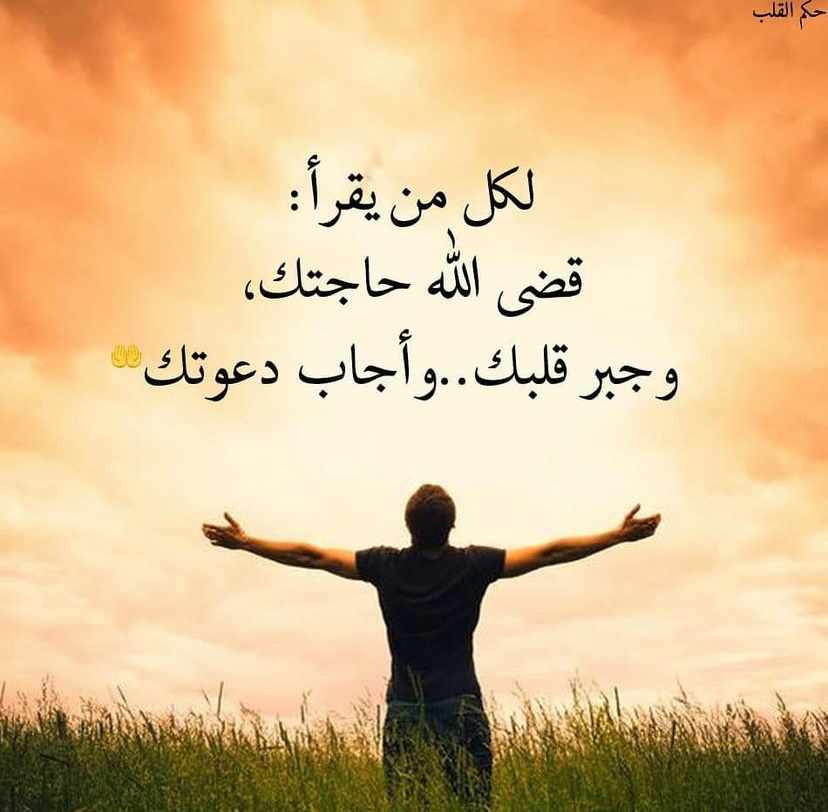 مختارات