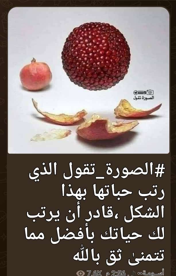 مختارات