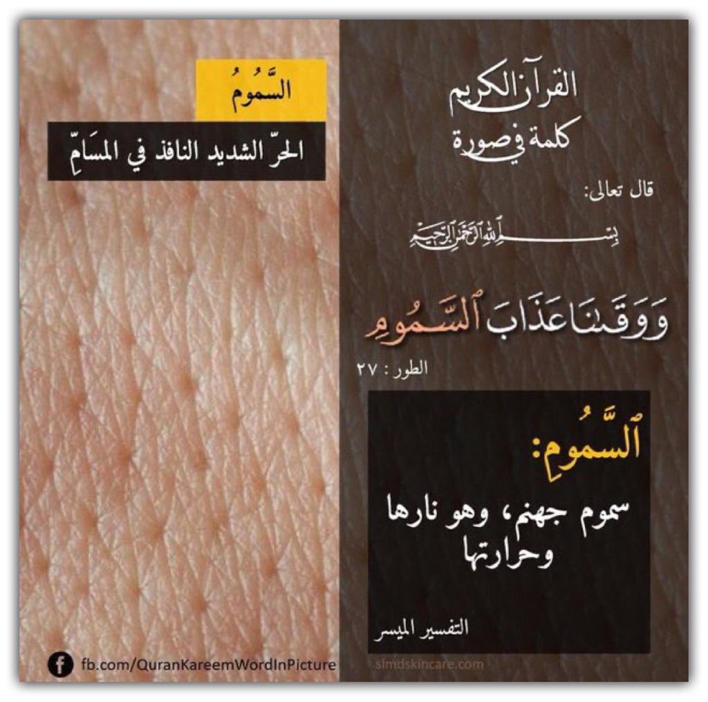 مختارات