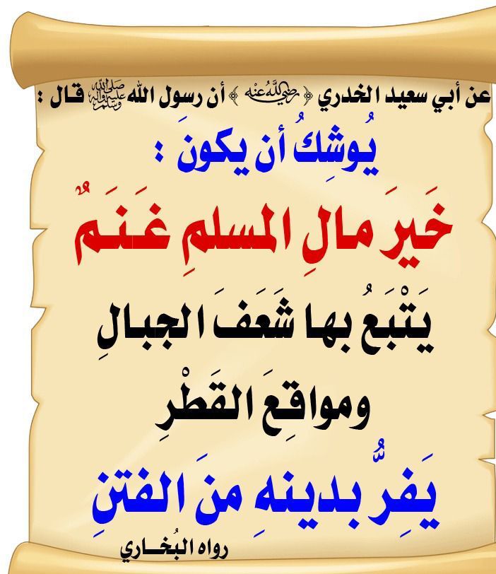 مختارات
