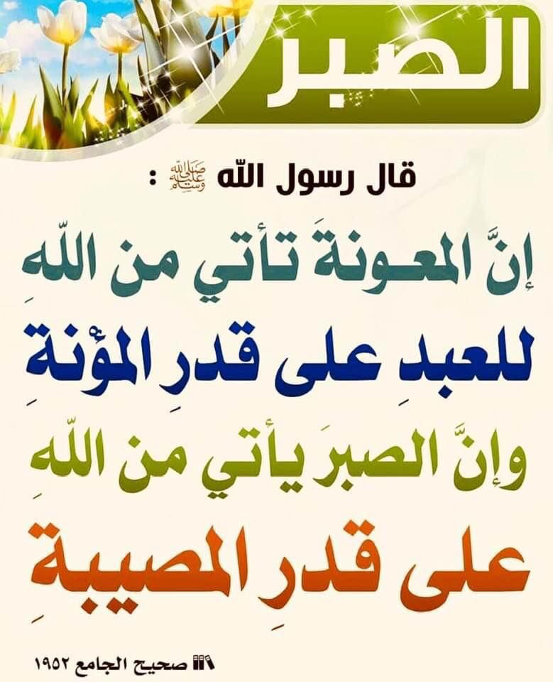 مختارات