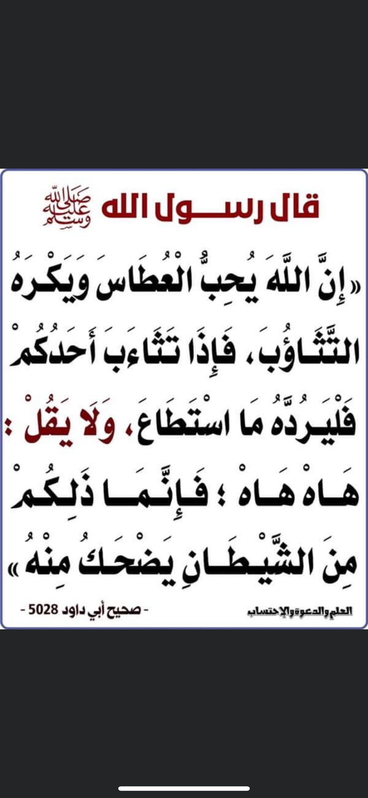 مختارات