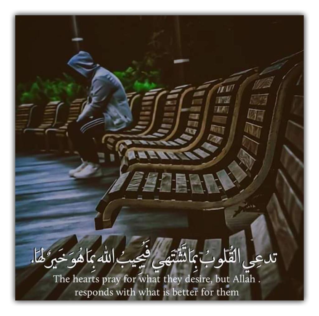 مختارات