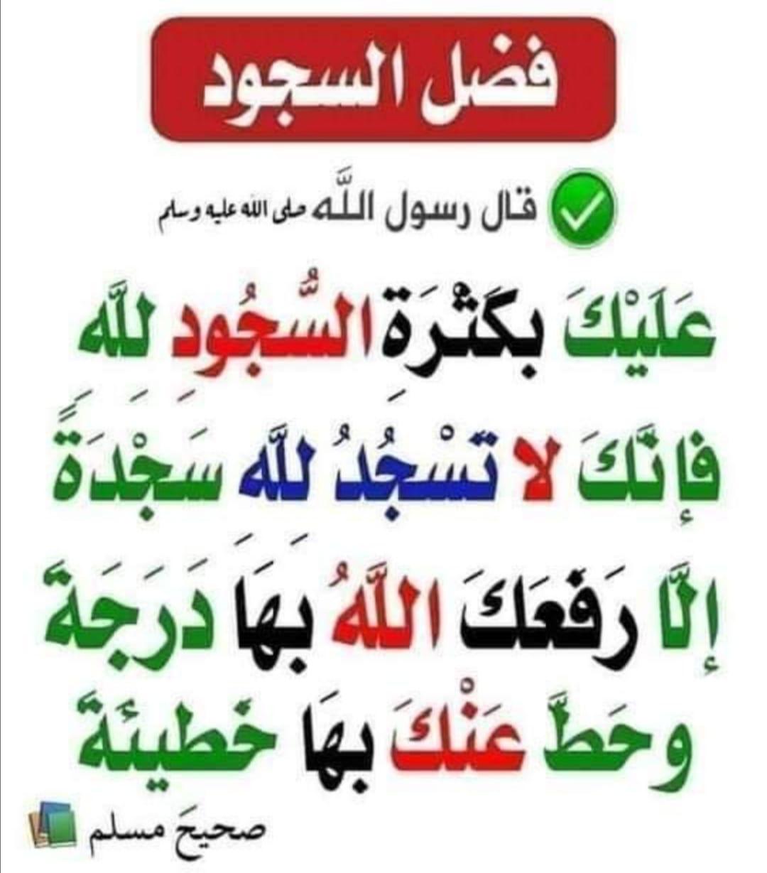 مختارات