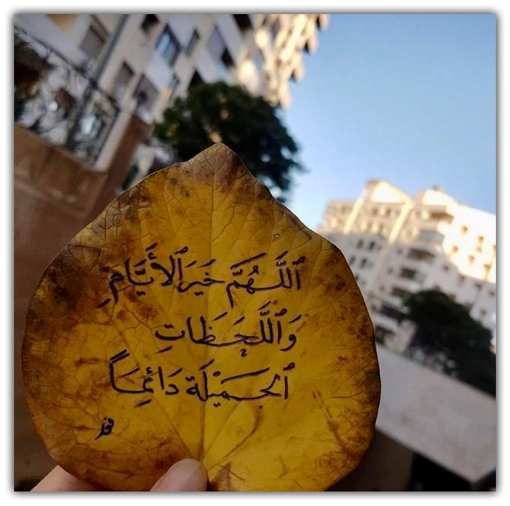 اللهم خير الايام واللحظات الجميلة دائماً