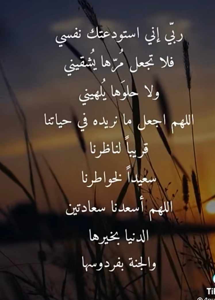 مختارات
