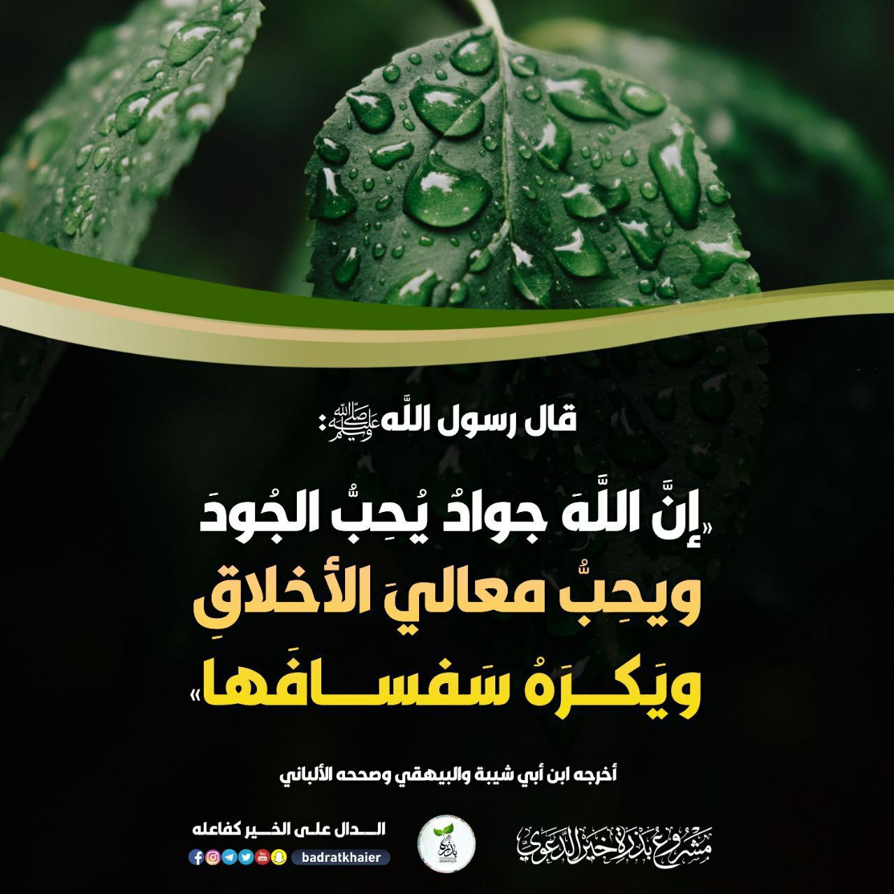 ان الله جواد يحب الجود