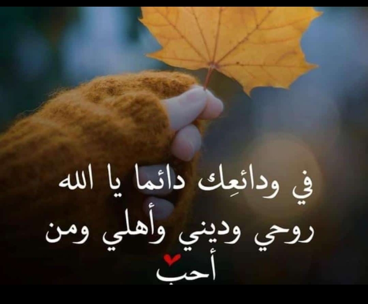 مختارات