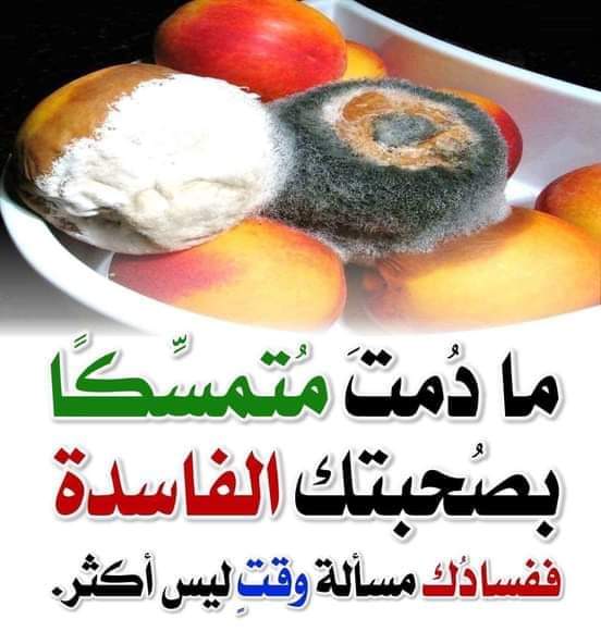 مختارات