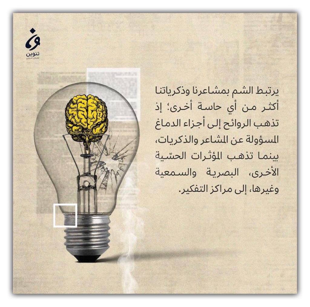 مختارات