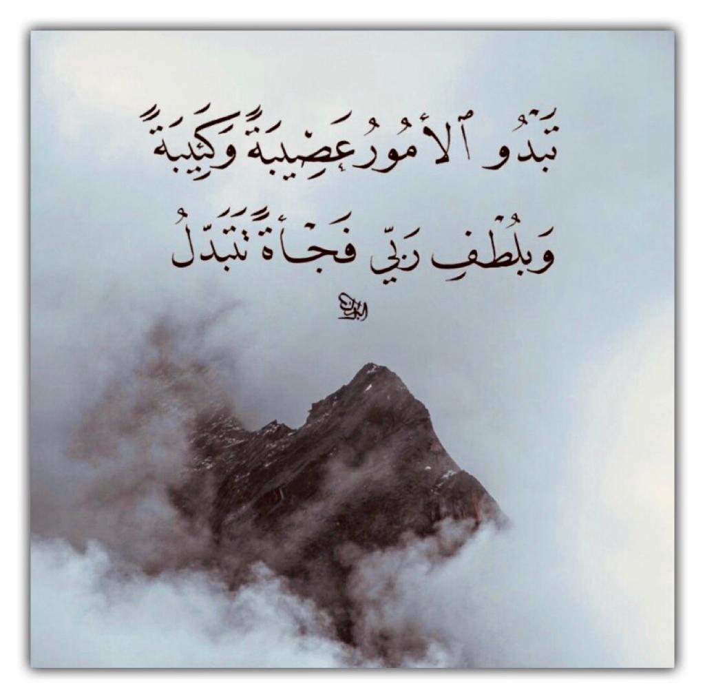 مختارات