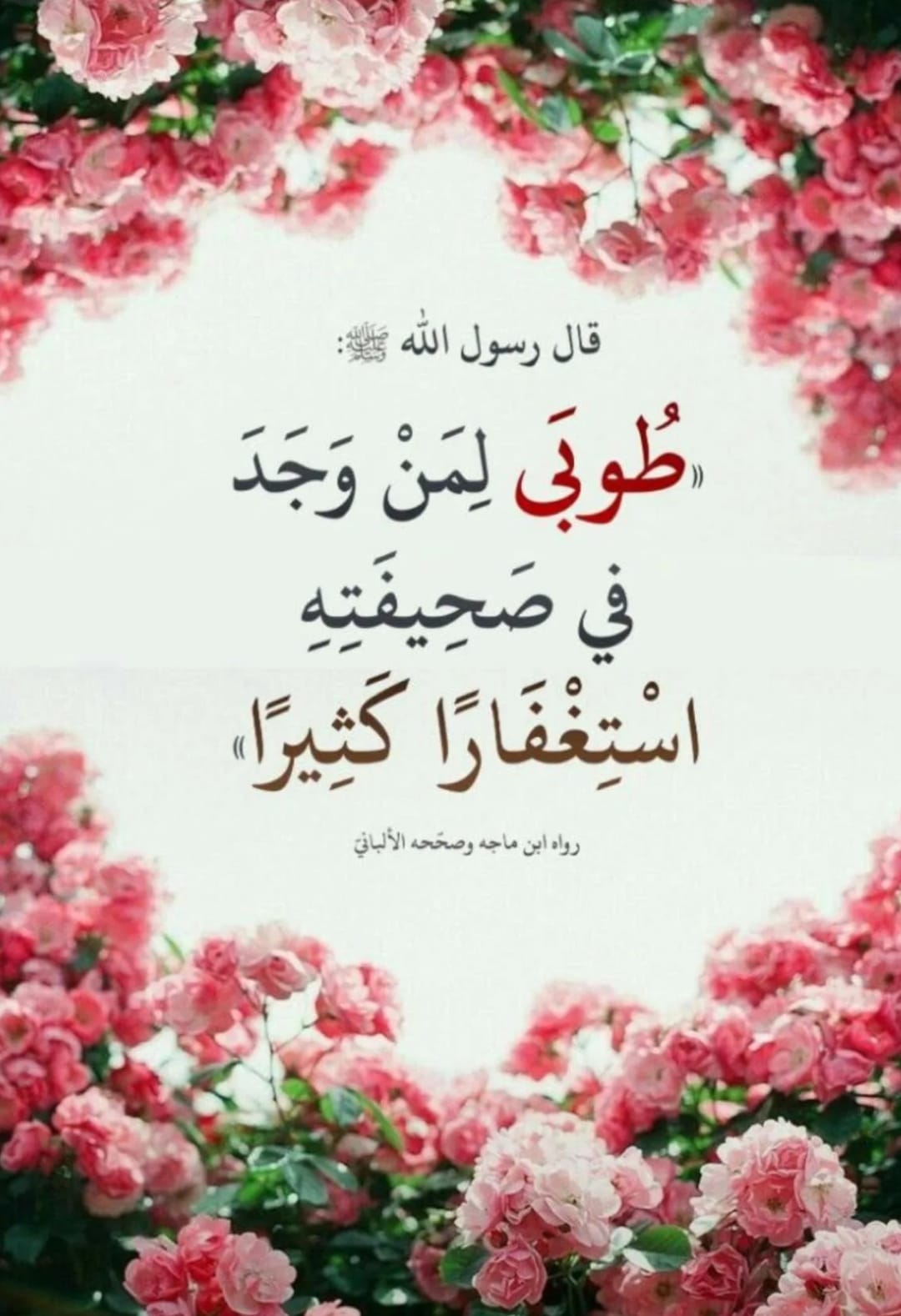 مختارات