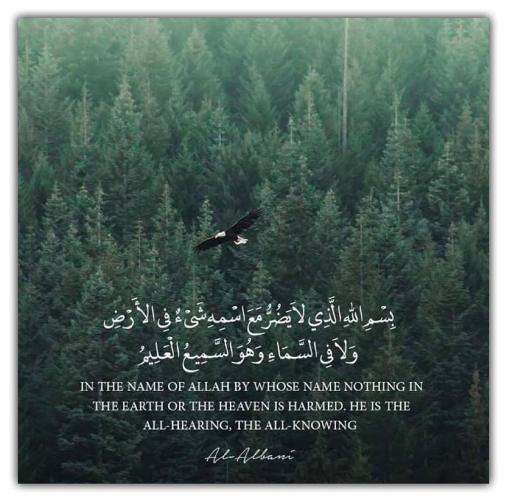 بسم الله الذي لا يضر مع اسمه شيء في الأرض ولا في السماء