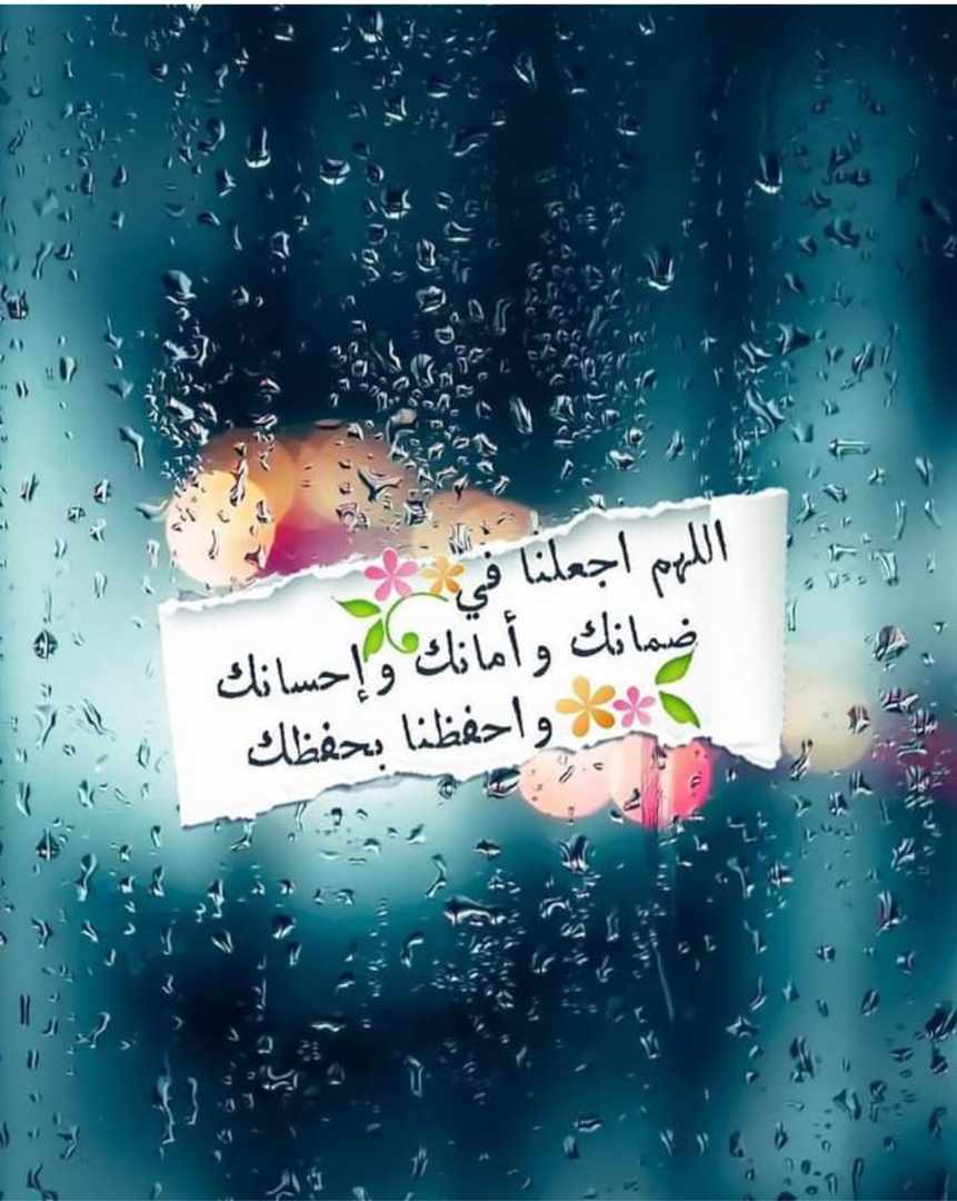 مختارات