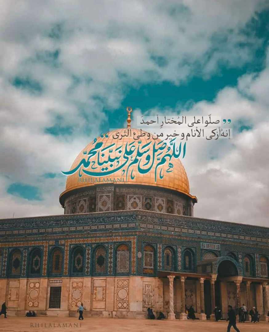 مختارات