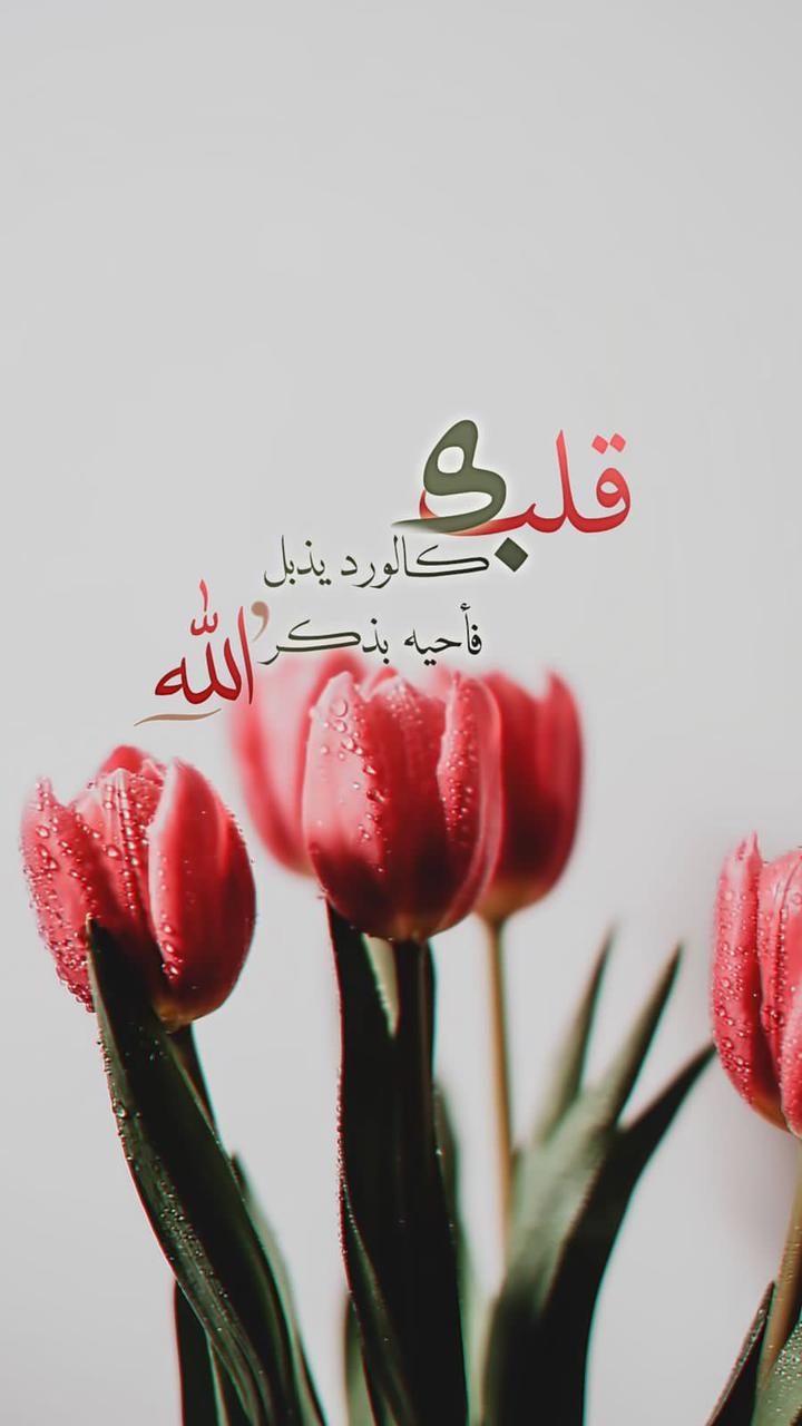 مختارات