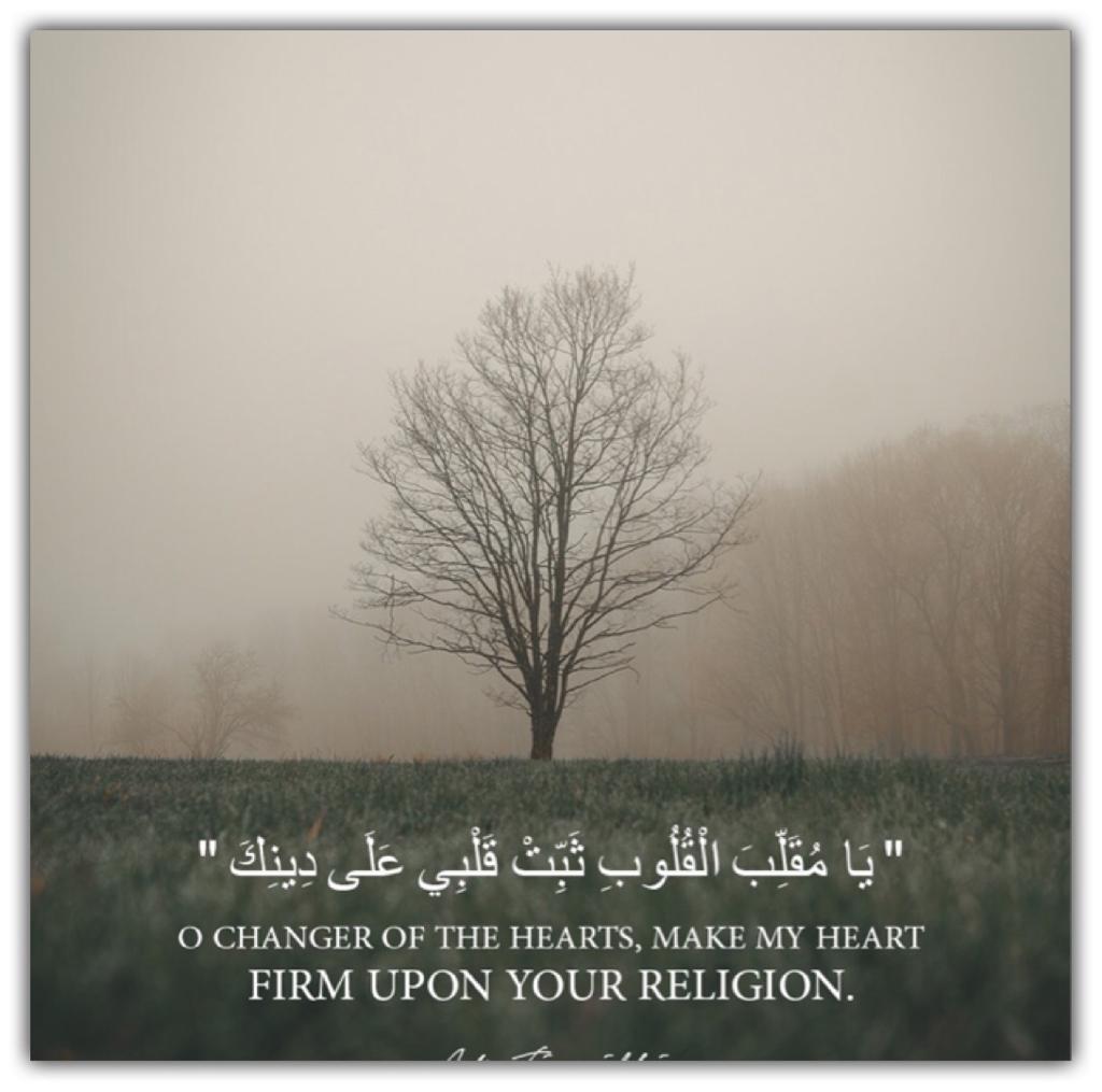 مختارات