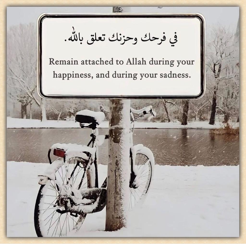 مختارات