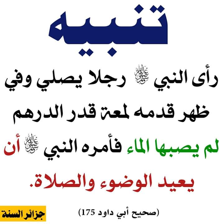 مختارات