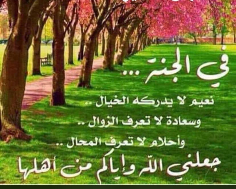 مختارات