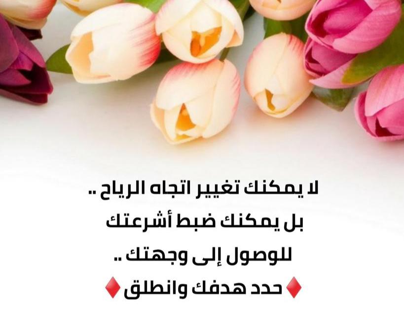 لايمكنك تغيير اتجاه الرياح بل يمكنك ضبط اشرعتك