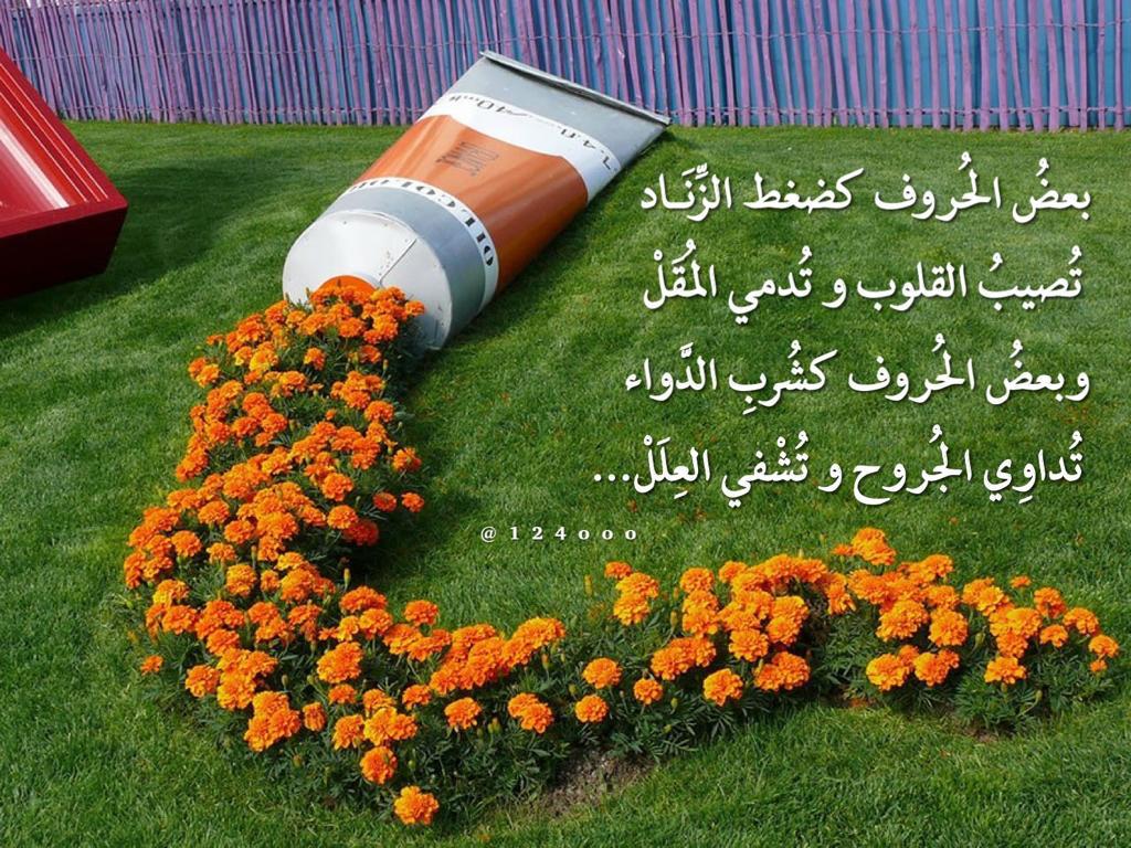 مختارات