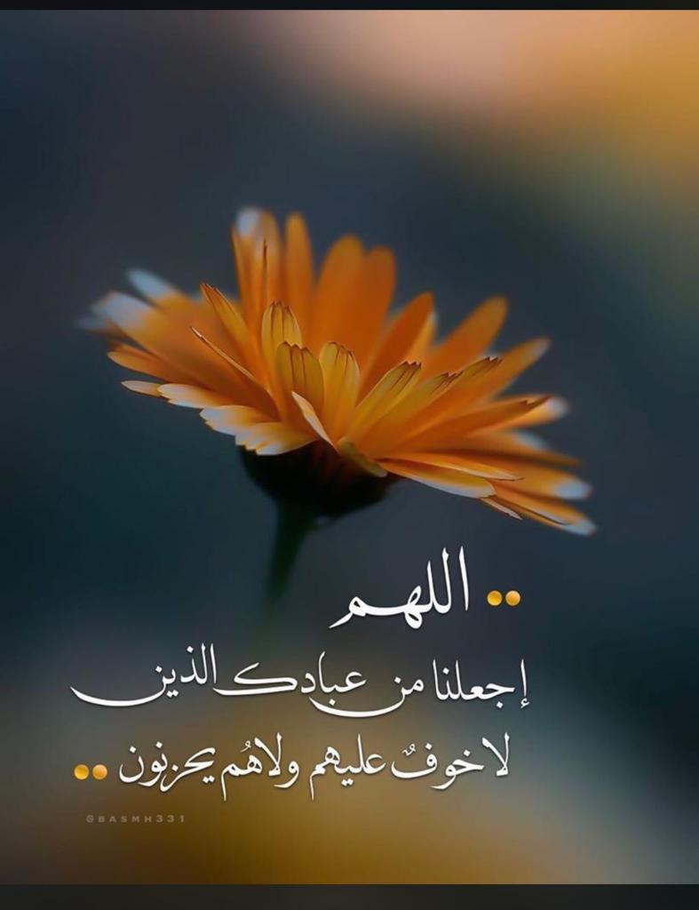 مختارات