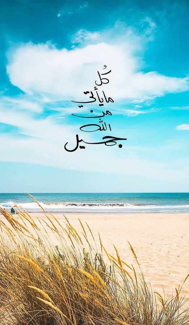 مختارات