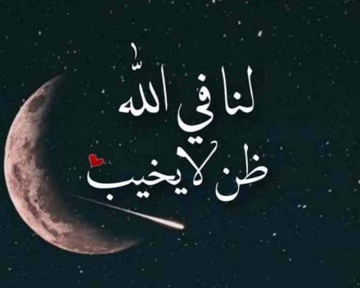 مختارات