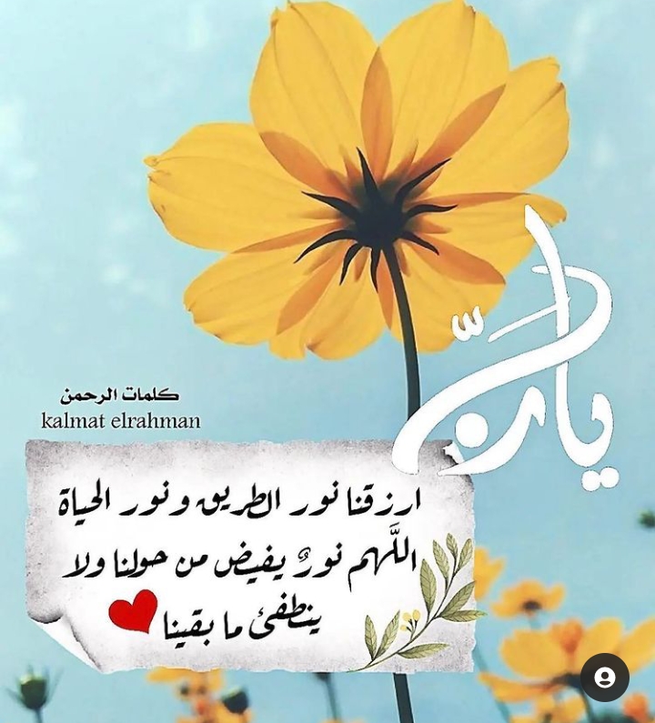 يارب ارزقنا نور الطريق ونور الحياة