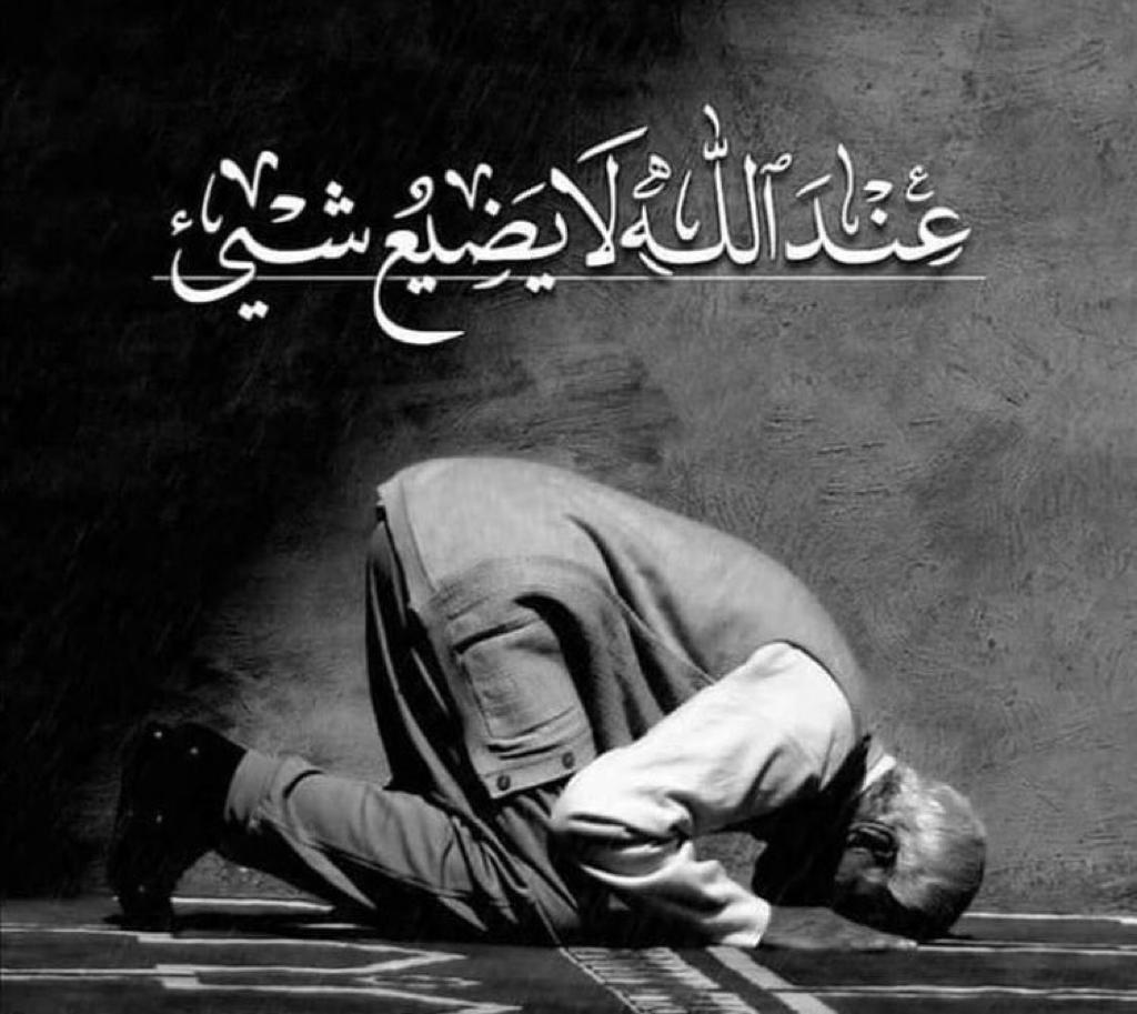مختارات
